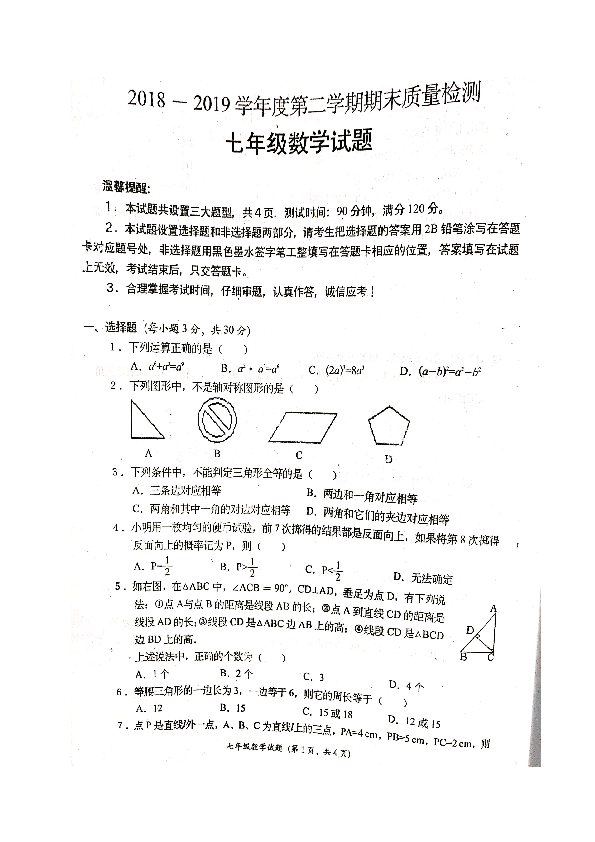 陕西省宝鸡市凤翔县2018-2019学年七年级下学期期末考试数学试题（图片版，含答案）