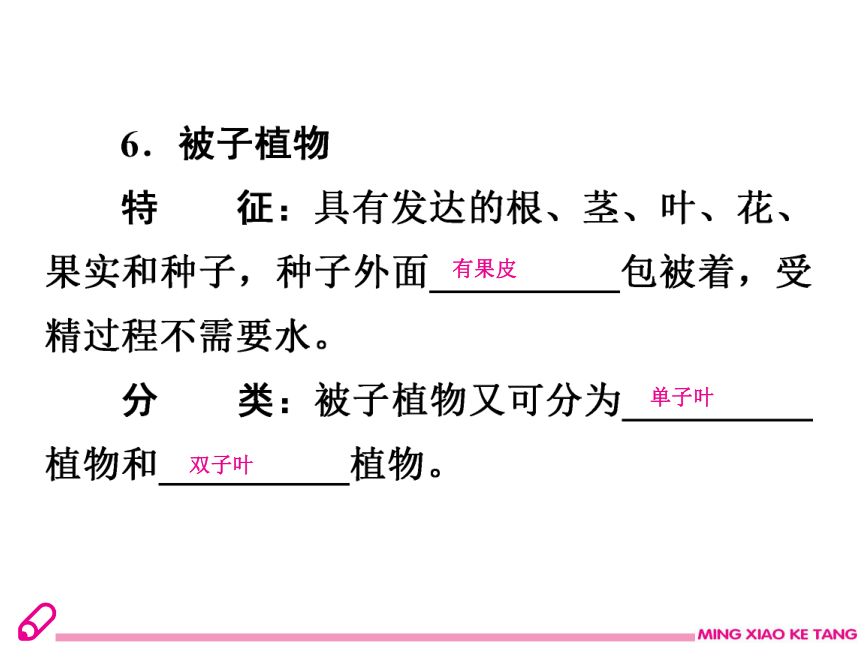 2019年秋八年生物北师大版下册课件：22.3植物的主要类群（23张ppt）