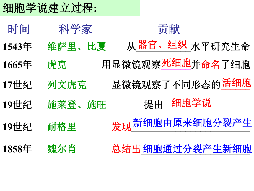 第2节 细胞（第2课时）——显微镜的使用