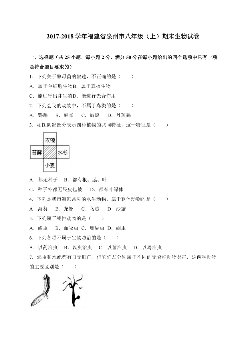 福建省泉州市2017-2018学年八年级上学期期末考试生物试卷（WORD版）