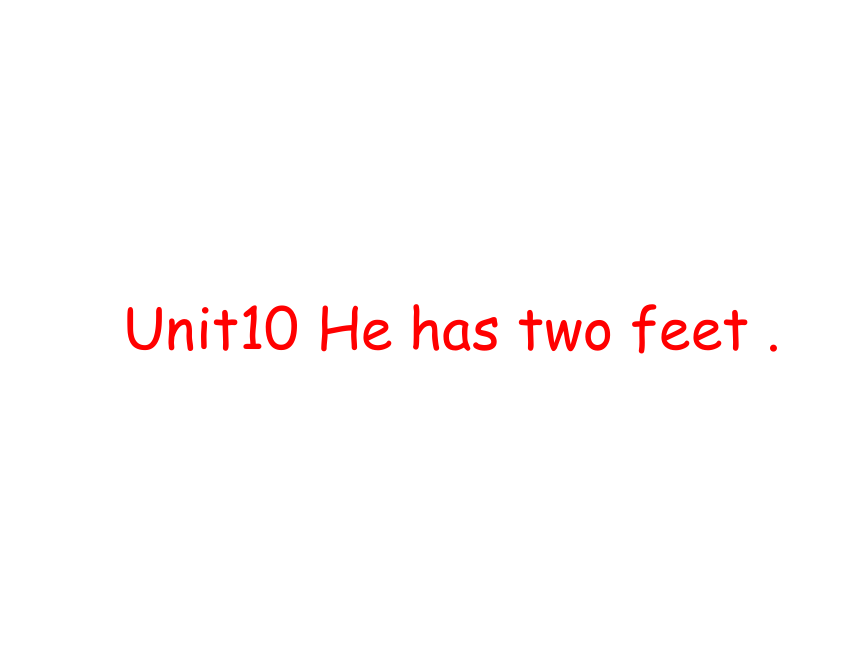 Unit 10 He has two feet 课件