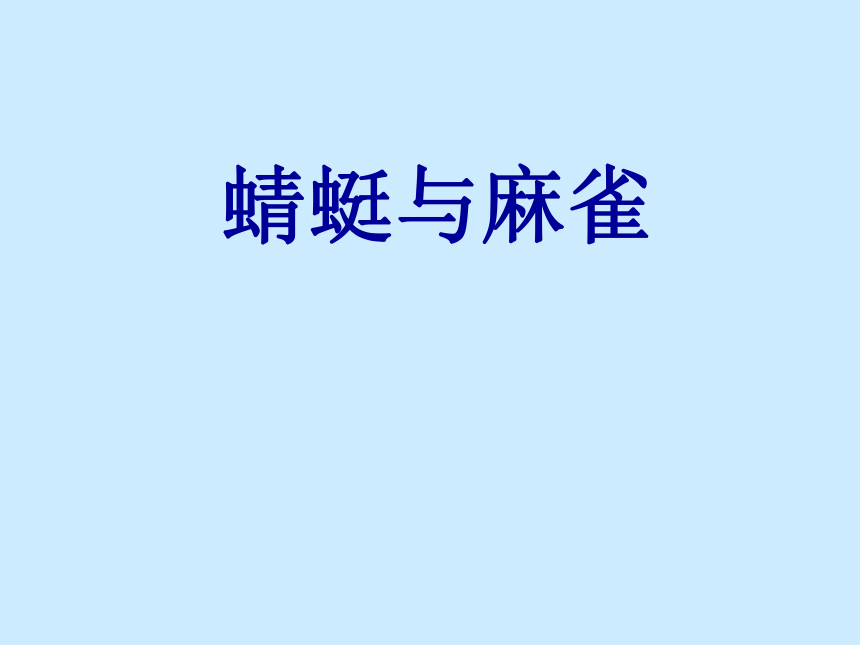 课件预览