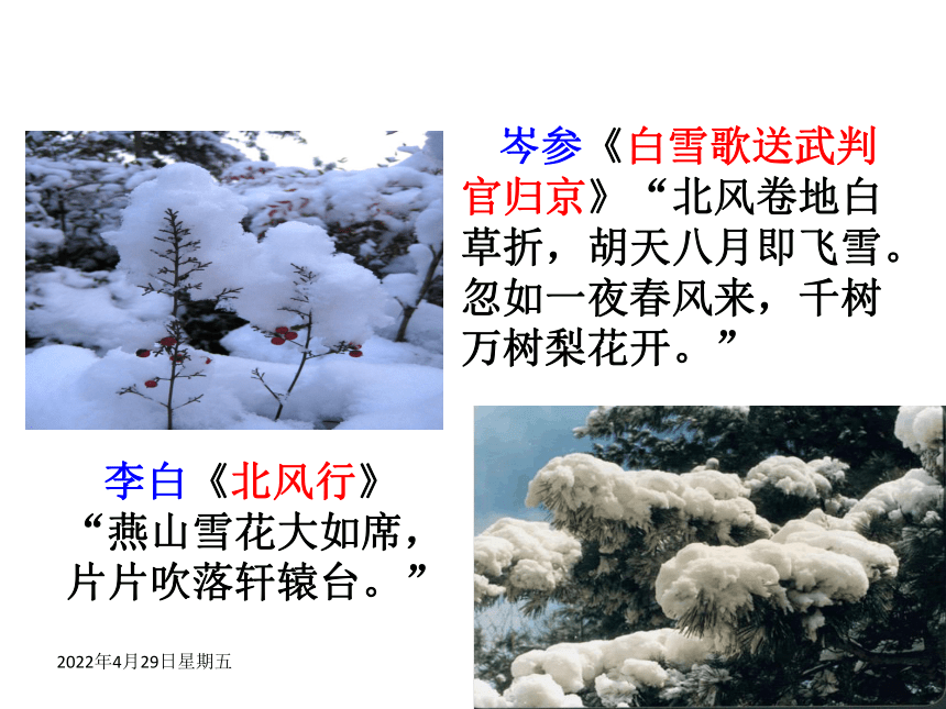 《沁园春·雪》课件