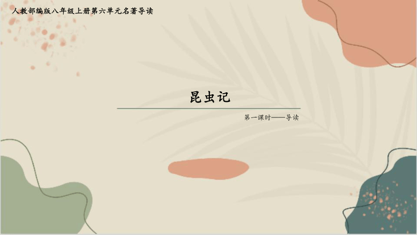 课件预览