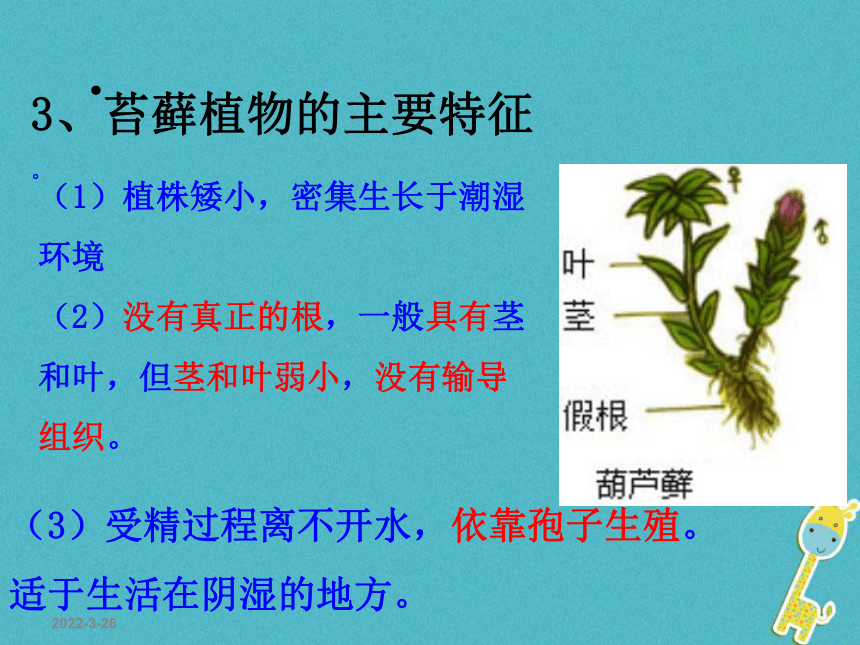 7.22.3植物的主要类群 课件（53张PPT）