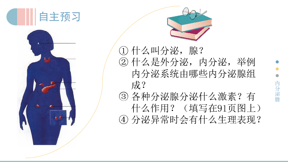 4.12.3激素调节-北师大版七年级生物下册课件(共25张PPT)