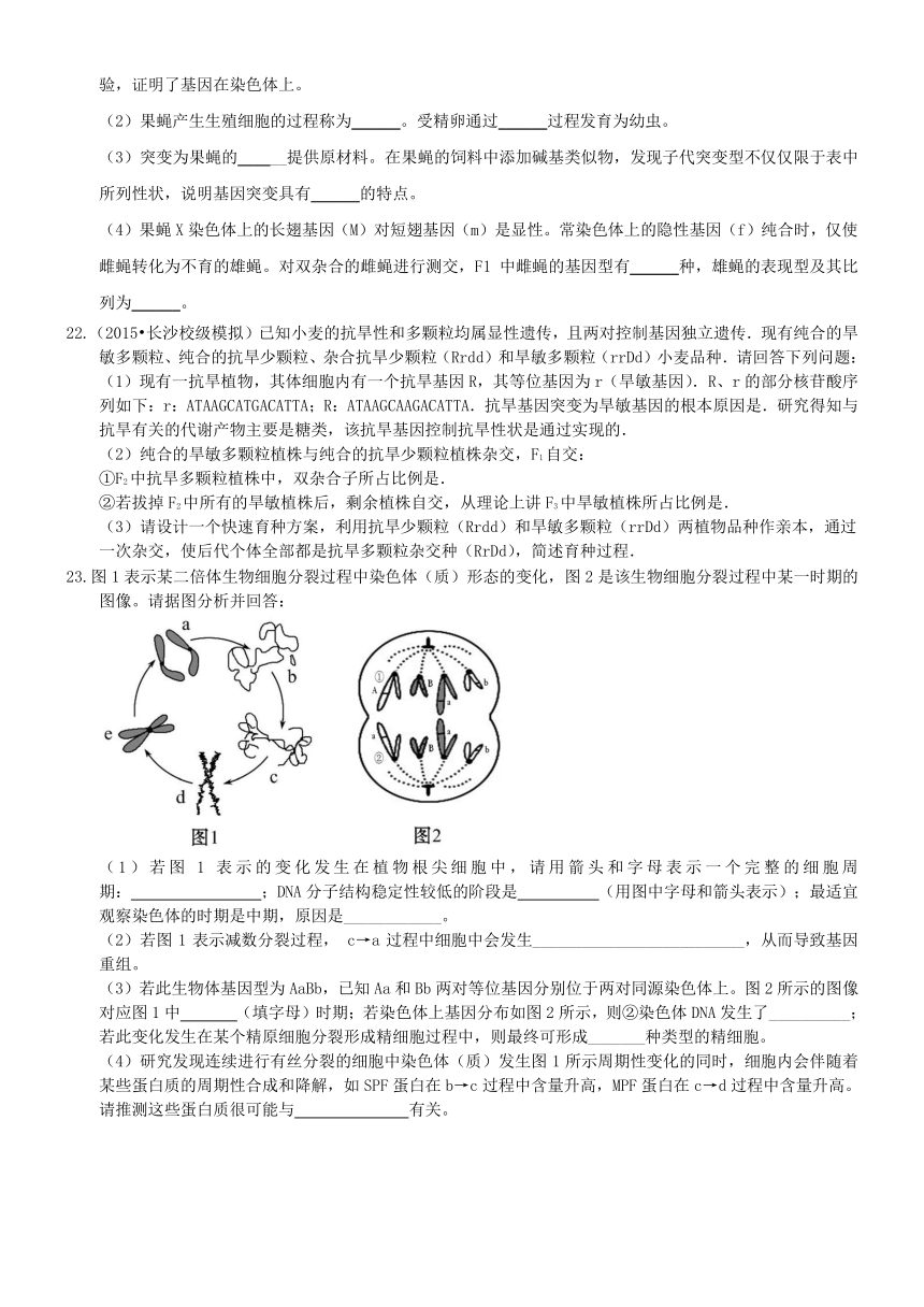 （衡水万卷）2016届高三生物二轮复习高考作业卷（含答案解析）作业（二十）基因突变和基因重组