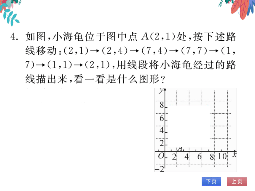 【沪科版】数学八年级上册 11.1平面内点的坐标第2课时 习题课件