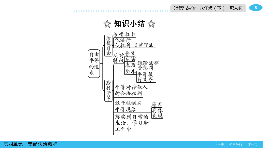 尊重自由平等思维导图图片