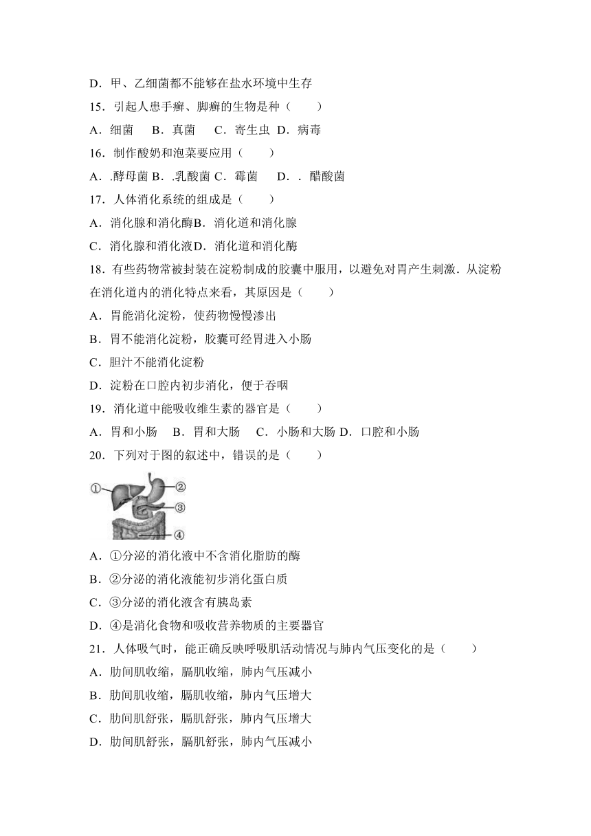 四川省自贡市富顺三中2016-2017学年八年级（上）期末生物模拟试卷（解析版）