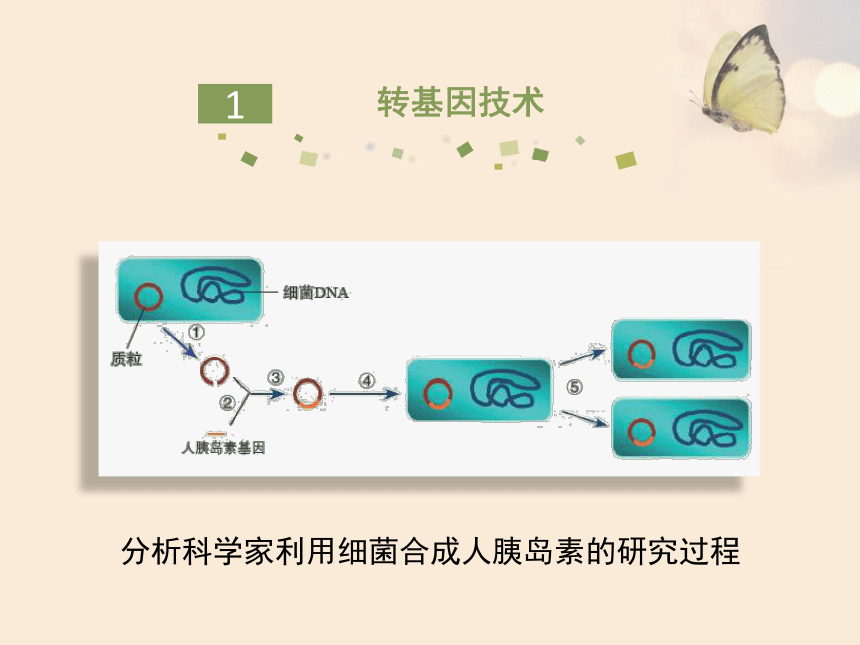 25.2 现代生物技术 课件（28张PPT）