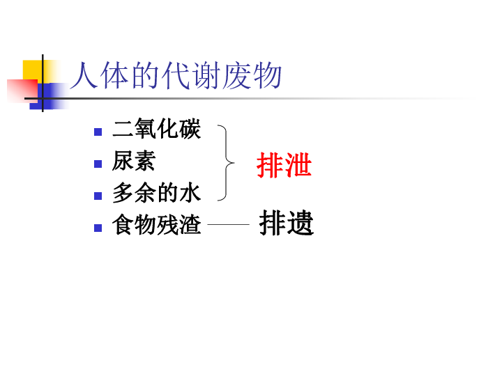 腎臟是主要的排洩器官下載-生物學-21世紀教育網