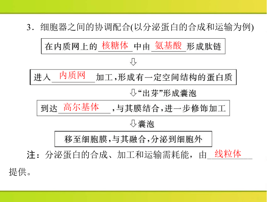 2013年《随堂优化训练》第3章第2节细胞器——系统内的分工合作