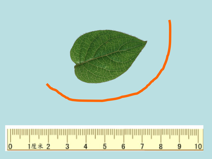 数学三年级上人教版7周长的认识课件 (共31张PPT)