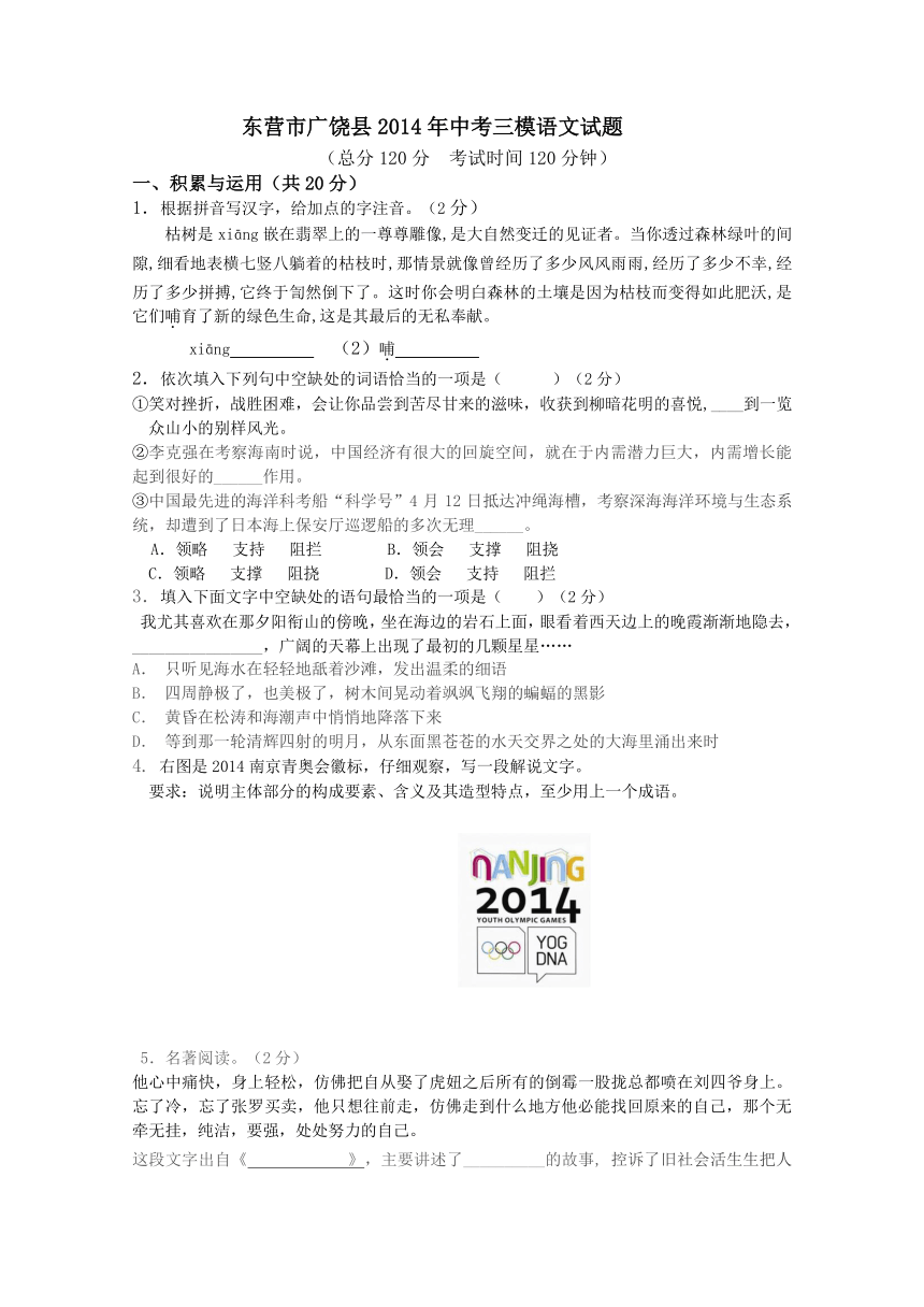 山东省东营市广饶县2014年中考三模语文试题