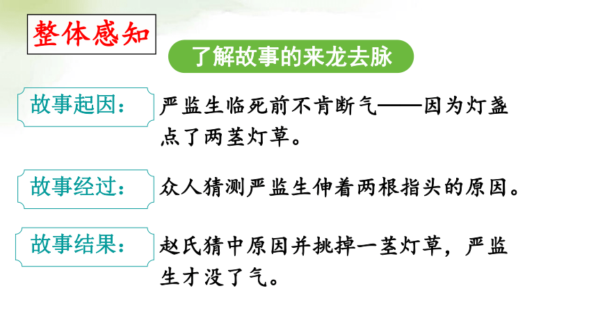 《两茎灯草》思维导图图片