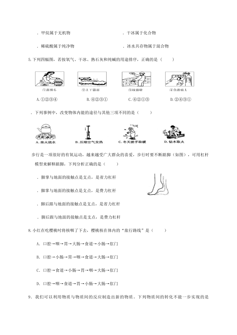 浙江省丽水市青田县七校联盟2020-2021学年第一学期九年级科学期末检测试题（word版，含答案）