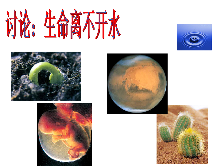 人教版生物必修一2.5细胞中的无机物（共39张ppt）