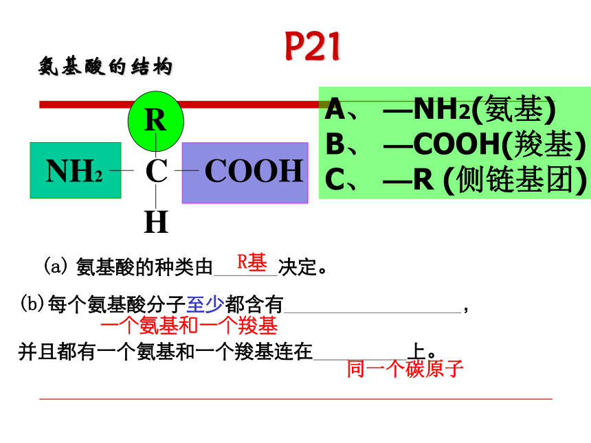 高中生物人教版必修1第二章第2节生命活动的主要承担者课件（15张ppt）