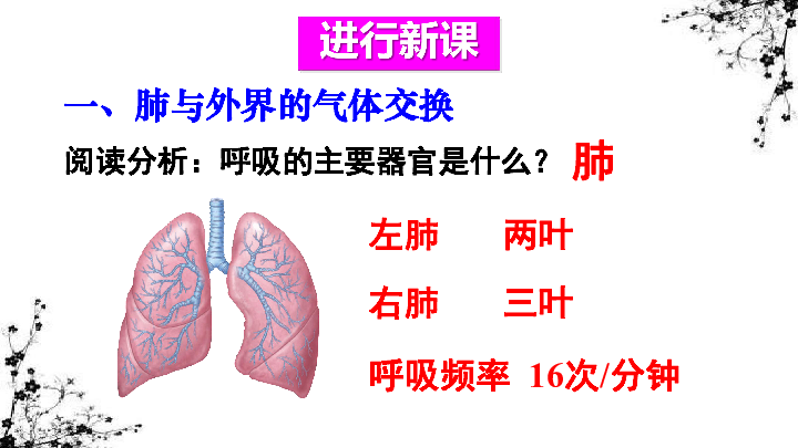 4.3 第二节 发生在肺内的气体交换 课件（28张ppt)+动画素材