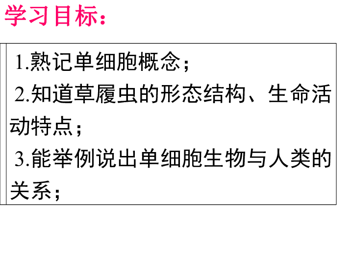 人教版生物七年级上册2.2.4-单细胞生物 课件 (共25张PPT)