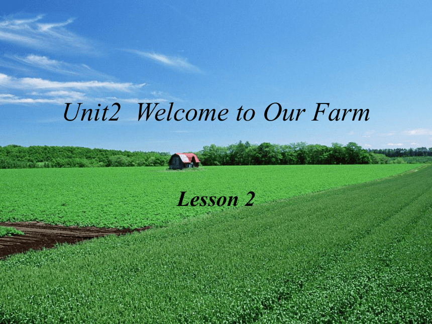 Unit 2 Welcome to our farm Lesson 2 课件