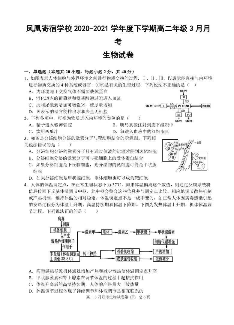 湖北省安陆市凤凰寄宿学校2020-2021学年高二下学期3月月考生物试题 Word版含答案