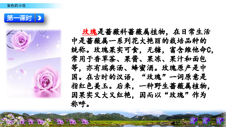 6 花之趣 紫色的小花 课件（45张PPT）