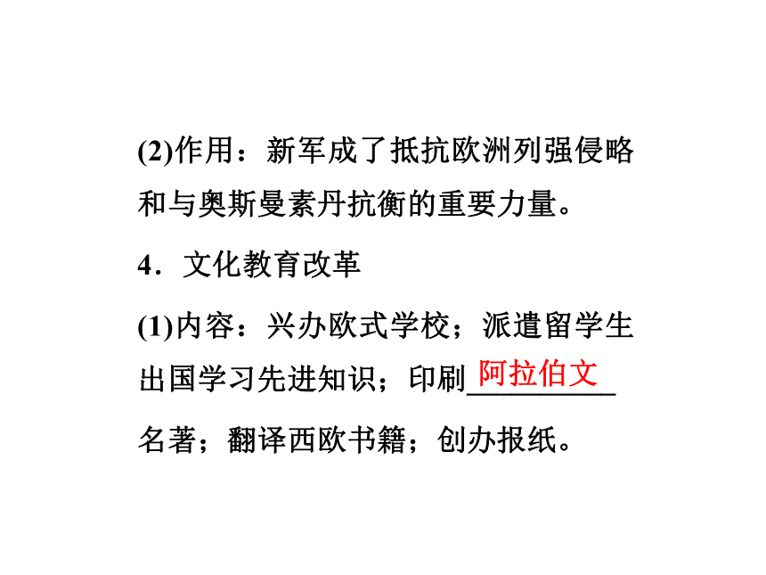 第六章埃及穆罕默德阿里改革第二节