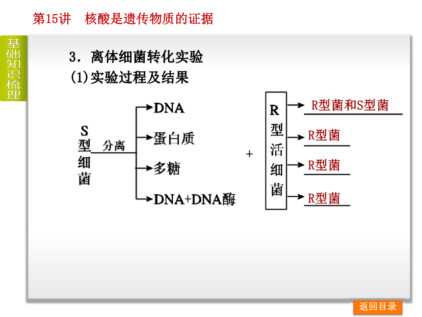 2014届高考生物一轮复习课件：第6单元-遗传的分子基础（浙江科技版）