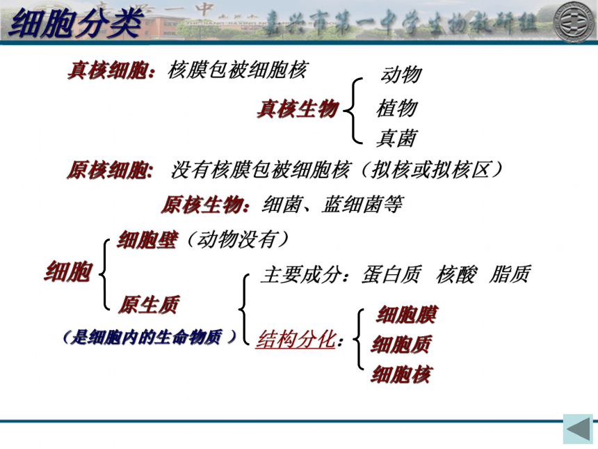 浙科版必修1第二章第二节细胞概述膜和壁（共20张PPT）