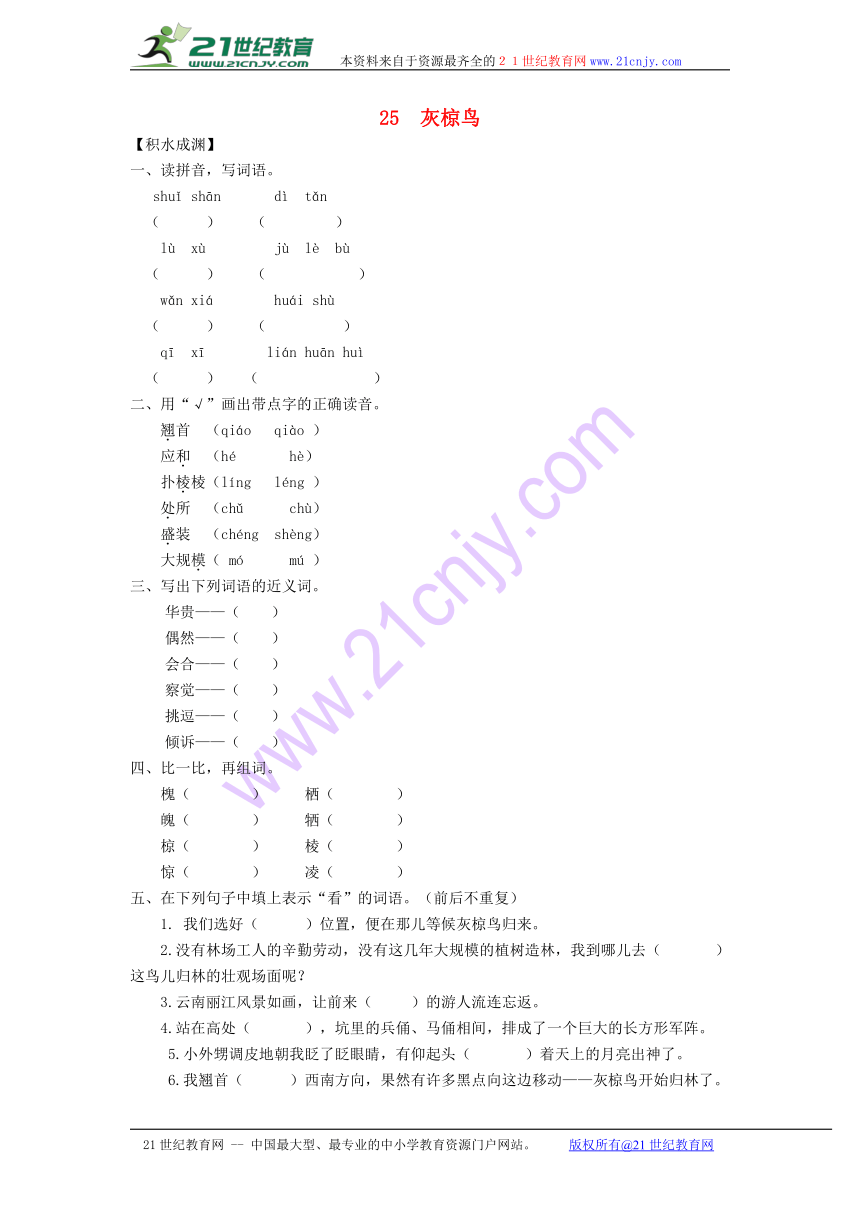 2016-2017学年五年级语文下册同步精炼：25 灰椋鸟（苏教版）