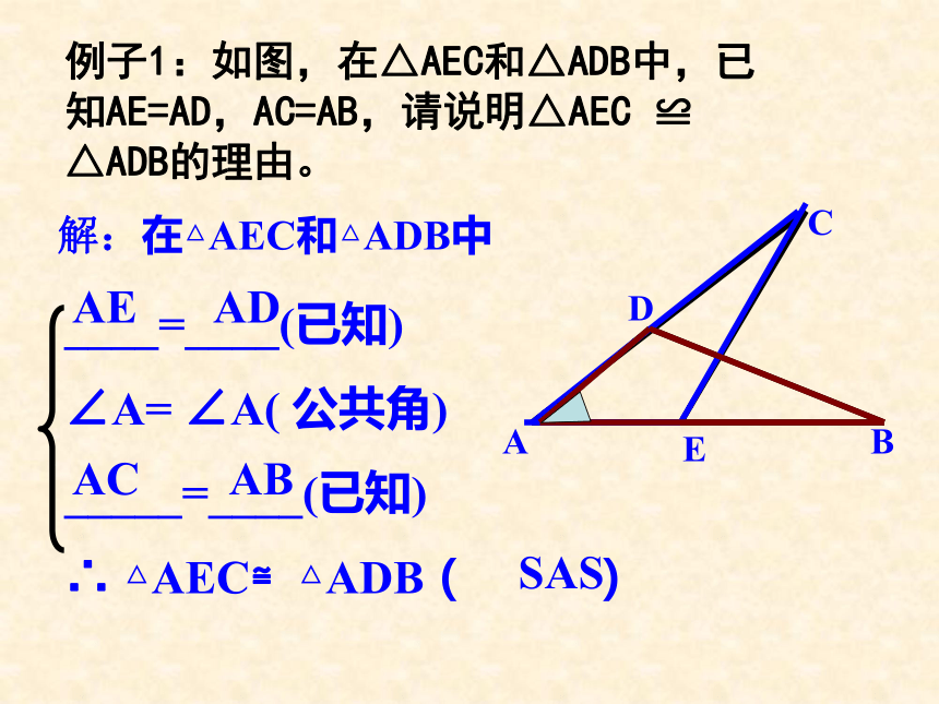 人教版八年级上册数学课件：12.2全等三角形的判定（3）— ASA AAS(共17张PPT)