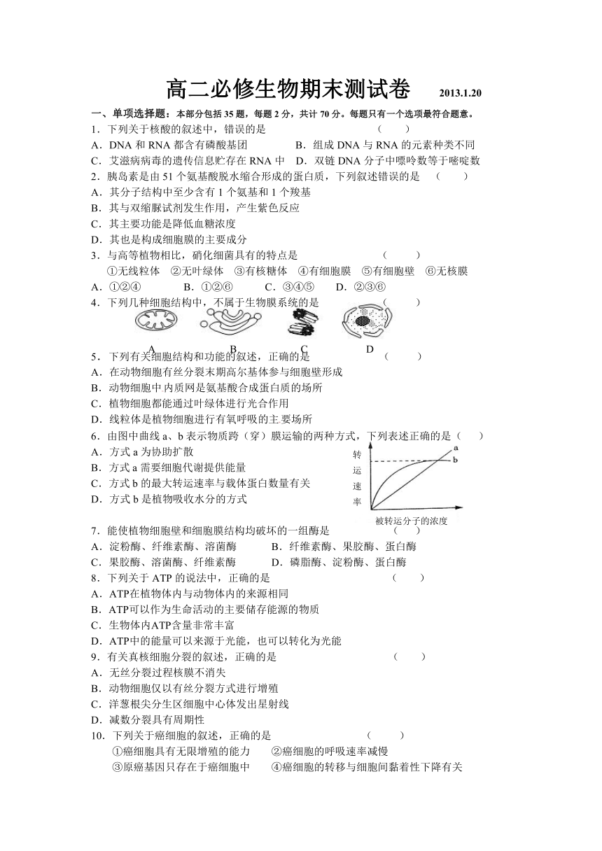 江苏省栟茶高级中学2012-2013学年高二上学期期末考试 生物