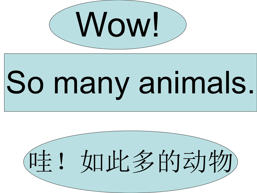 Lesson 3 Is that a pig？课件  (共14张PPT)