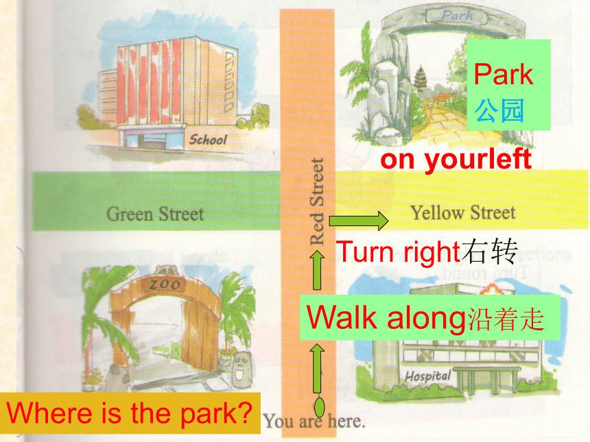 Lesson 5  The park is on your left 课件