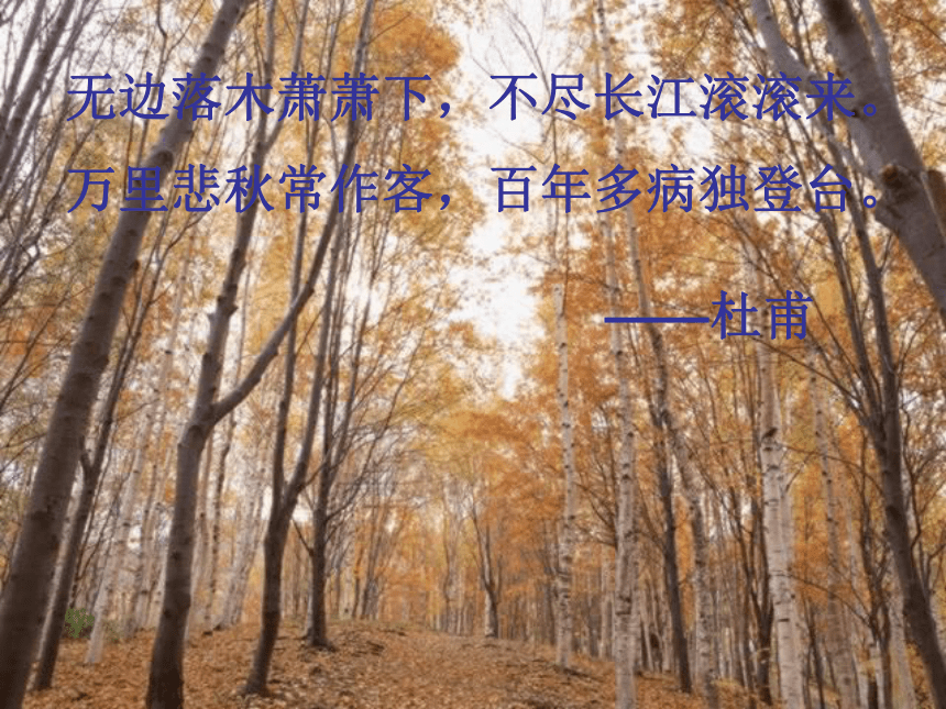 高中语文高二年级下华东师大版1.1《故都的秋》课件（107张）