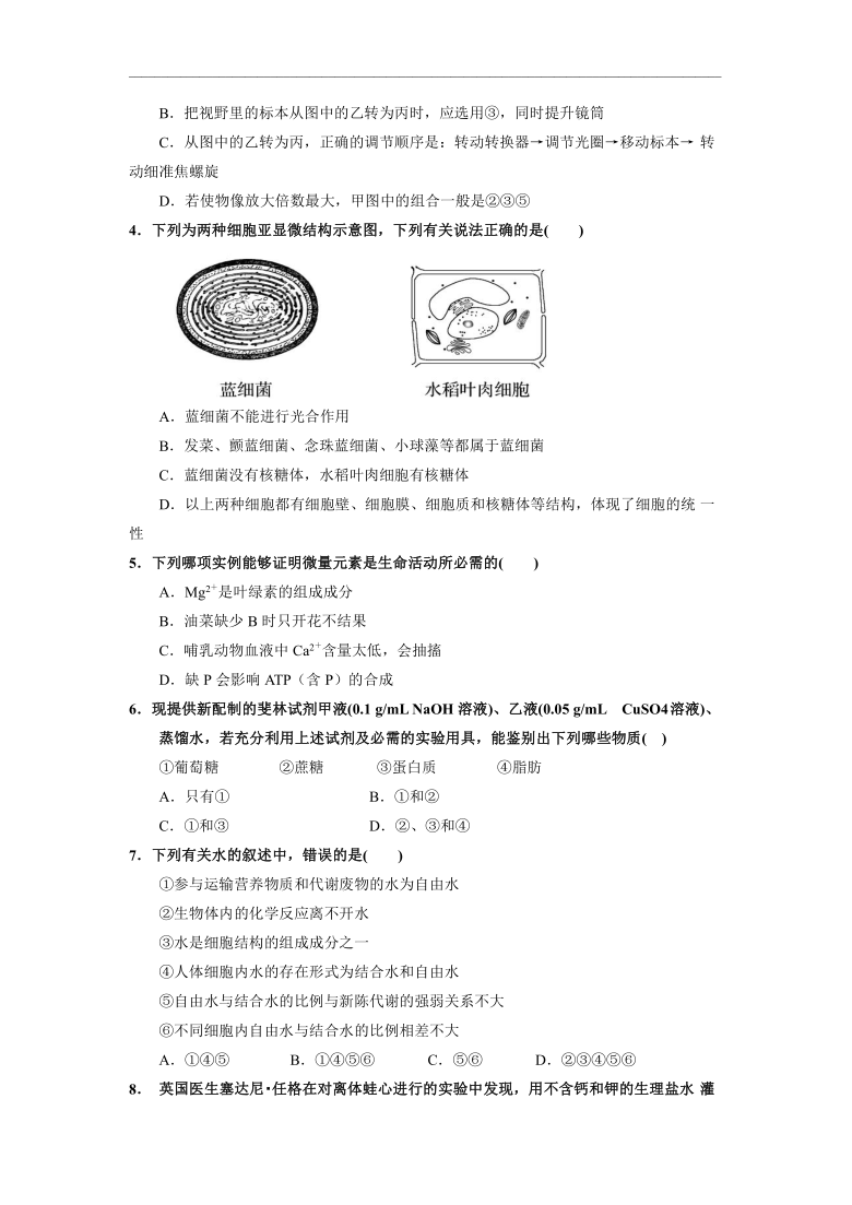 甘肃省静宁县第一高级中学2020-2021学年高一上学期期末考试生物试题       含答案