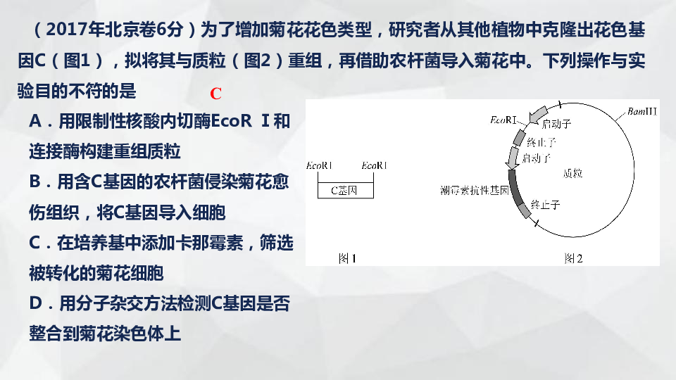 2019届二轮复习  2016-2018年各地高考生物分类--选修3 课件(52张PPT)