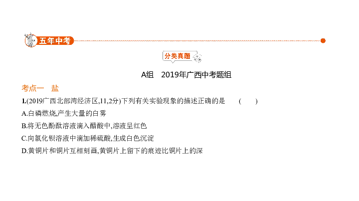 2020届广西中考化学复习课件 专题六 盐 化学肥料（110张PPT）