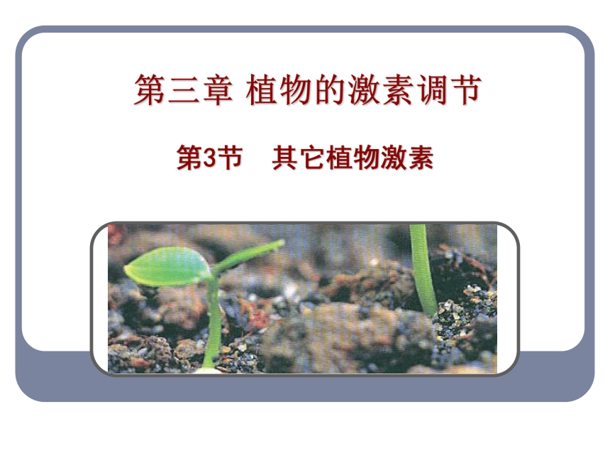 人教高中生物必修三3.3其他植物激素 课件（34张ppt）