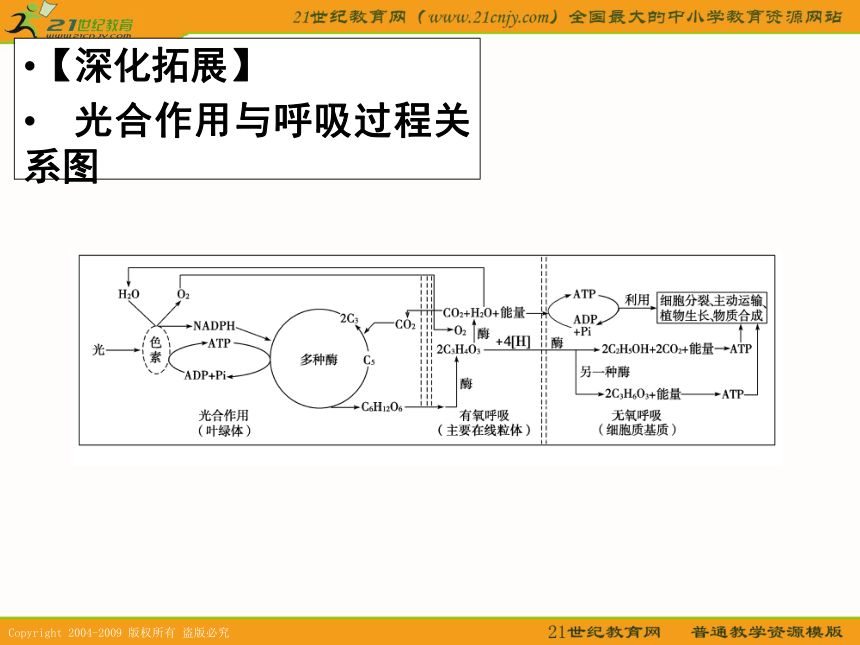 高考2011生物复习：光合作用与呼吸作用课件