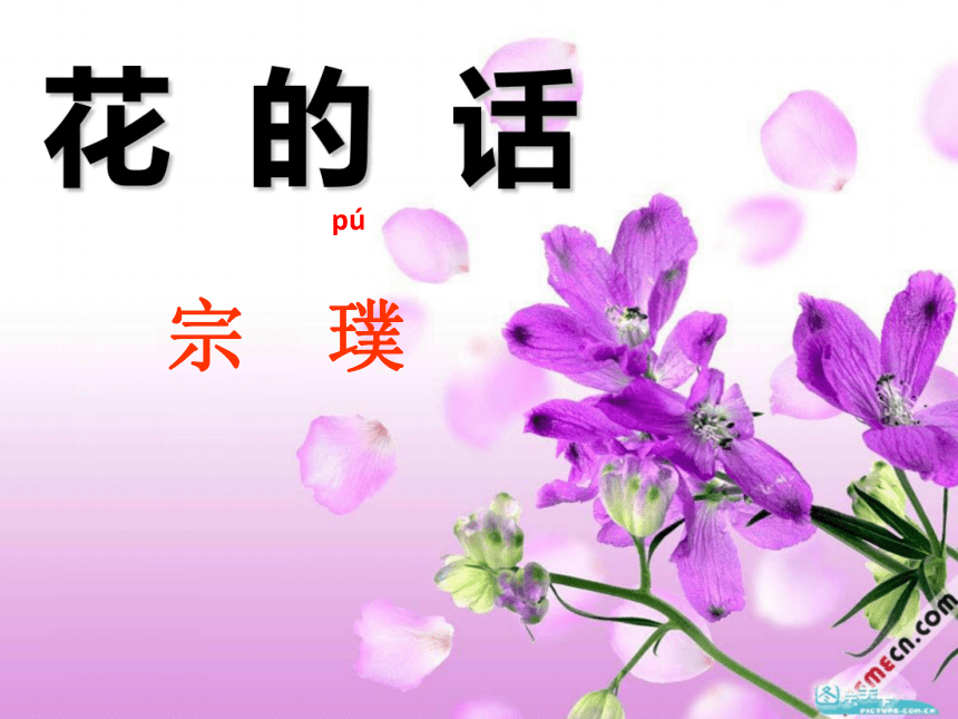 2015—2016上海教育出版社（五四制）语文六年级下册第一单元课件：第3课《花的话》（共41张PPT）