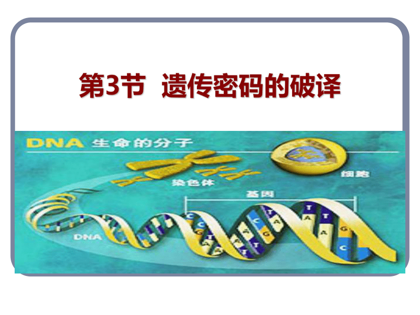 高中生物人教版必修二第四章第3节  遗传密码子的破译  课件（26张PPT）