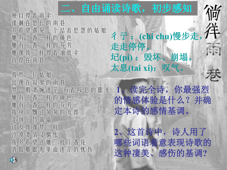 高中语文高三年级上华东师大版1.1《雨巷》课件（44张）