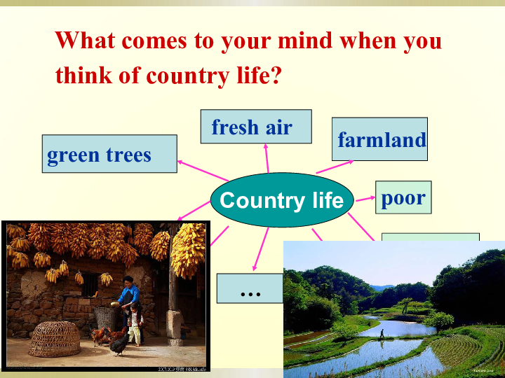 北师大版模块1 Unit 1 Lifestyles Lesson 4 City and Country课件(共20张PPT)