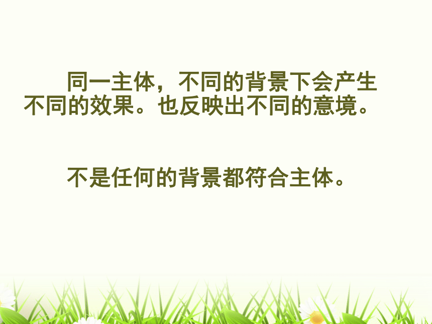 美术四年级下人教版4主体与背景课件（29张）