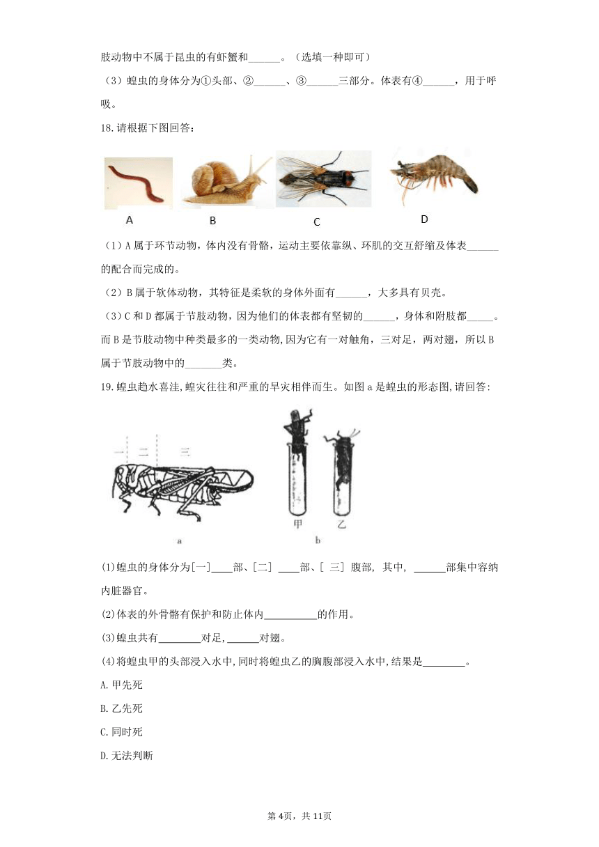 7.1.3软体动物和节肢动物同步练习(word版含解析）