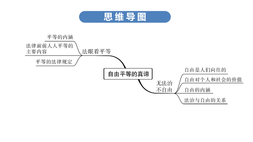 尊重自由平等思维导图图片