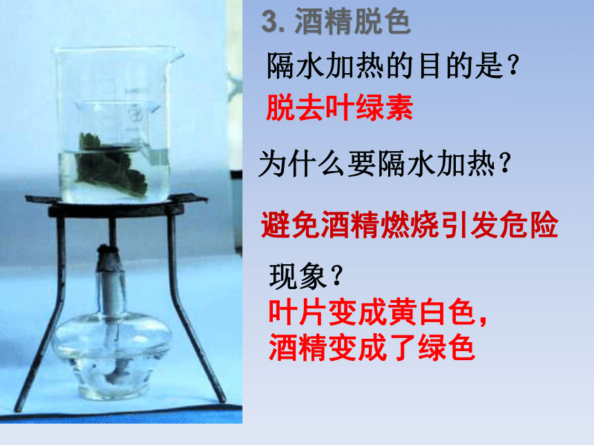 2018届中考生物复习课件：绿色植物的光合作用和呼吸作用(共33张PPT)